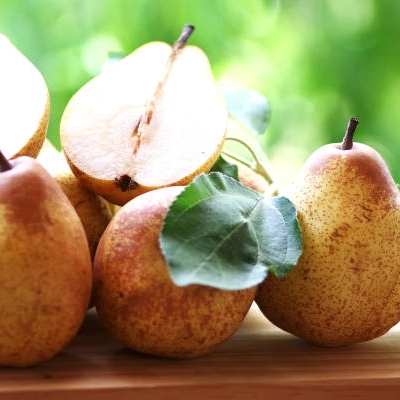 Arboles frutales rocha